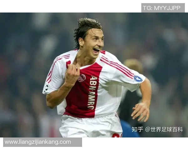 足球明星伊布的国籍揭秘及其对足球的影响分析 足球明星伊布的国籍揭秘及其对足球的影响分析