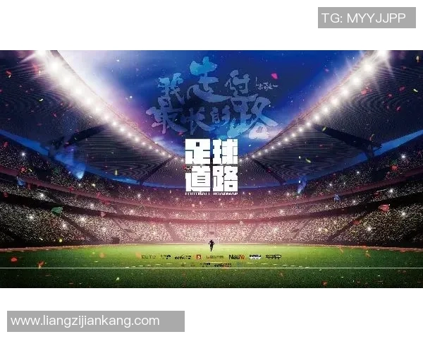 足球明星背后的故事与荣耀纪录片探秘他们的奋斗与成就 足球明星背后的故事与荣耀纪录片探秘他们的奋斗与成就