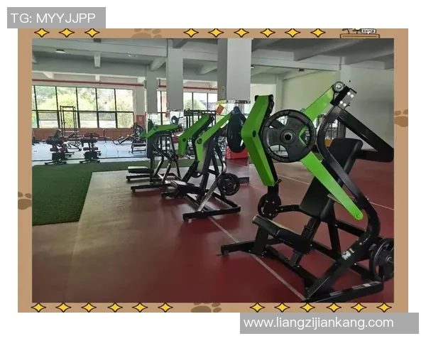 健身器材行业招聘信息发布助力健身爱好者实现职业梦想与发展机会