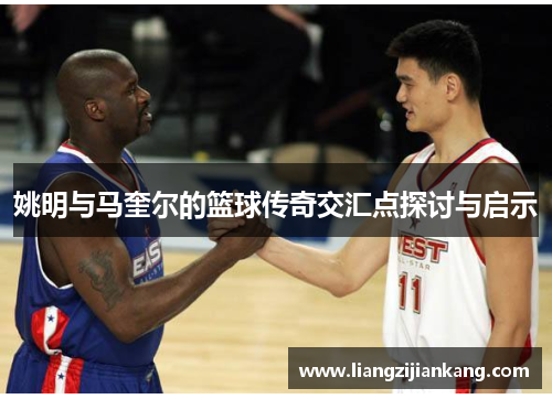 姚明与马奎尔的篮球传奇交汇点探讨与启示