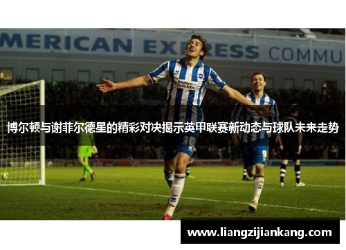 博尔顿与谢菲尔德星的精彩对决揭示英甲联赛新动态与球队未来走势